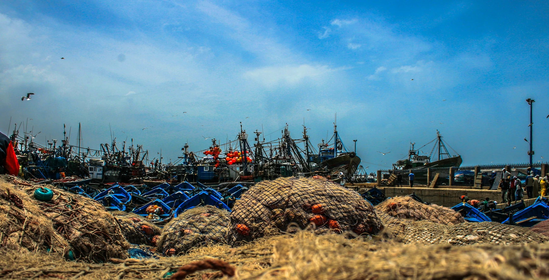 Fiskerhavnen i Essaouira