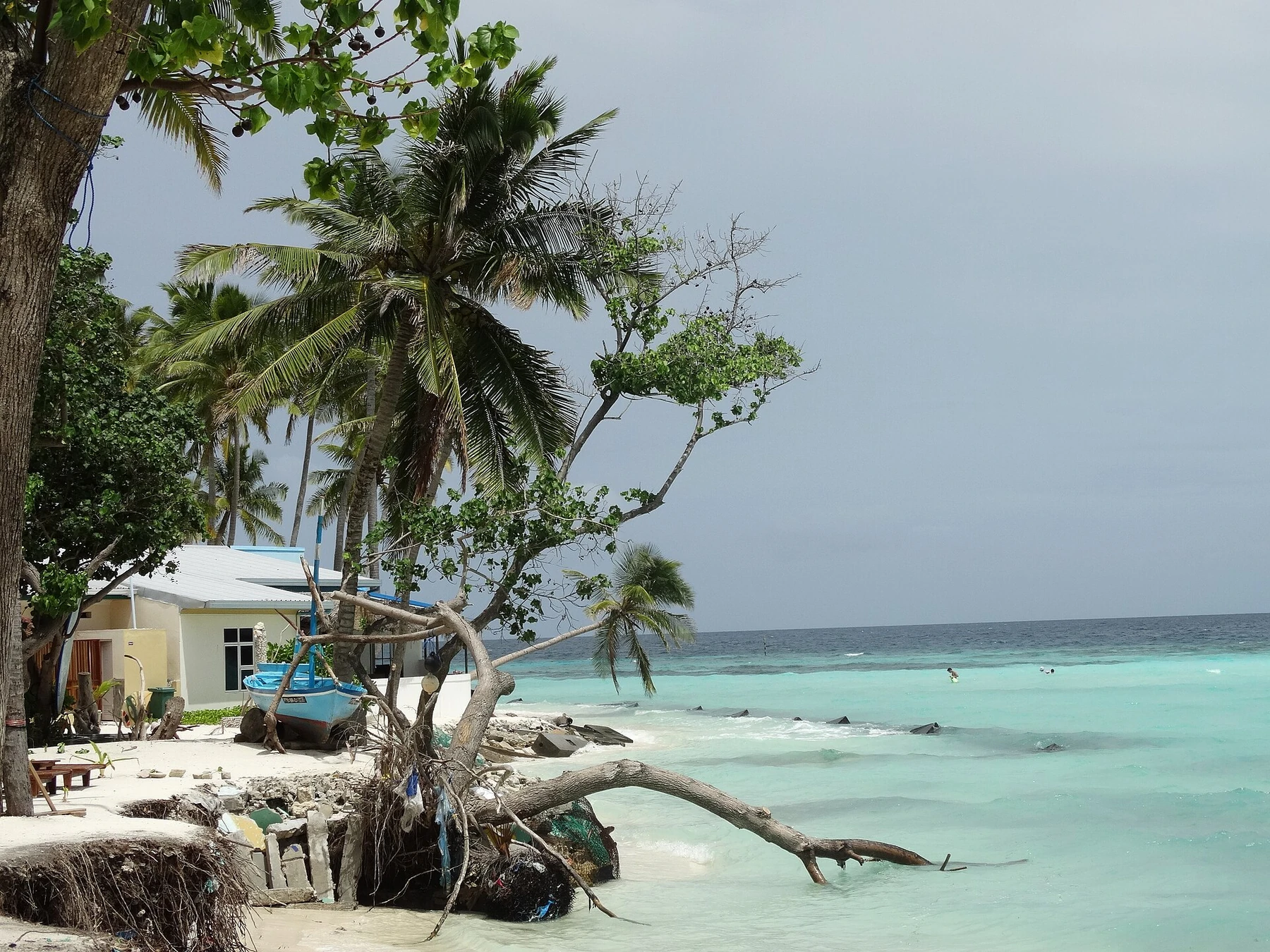 Stranden på Maafushi i Maldiverne