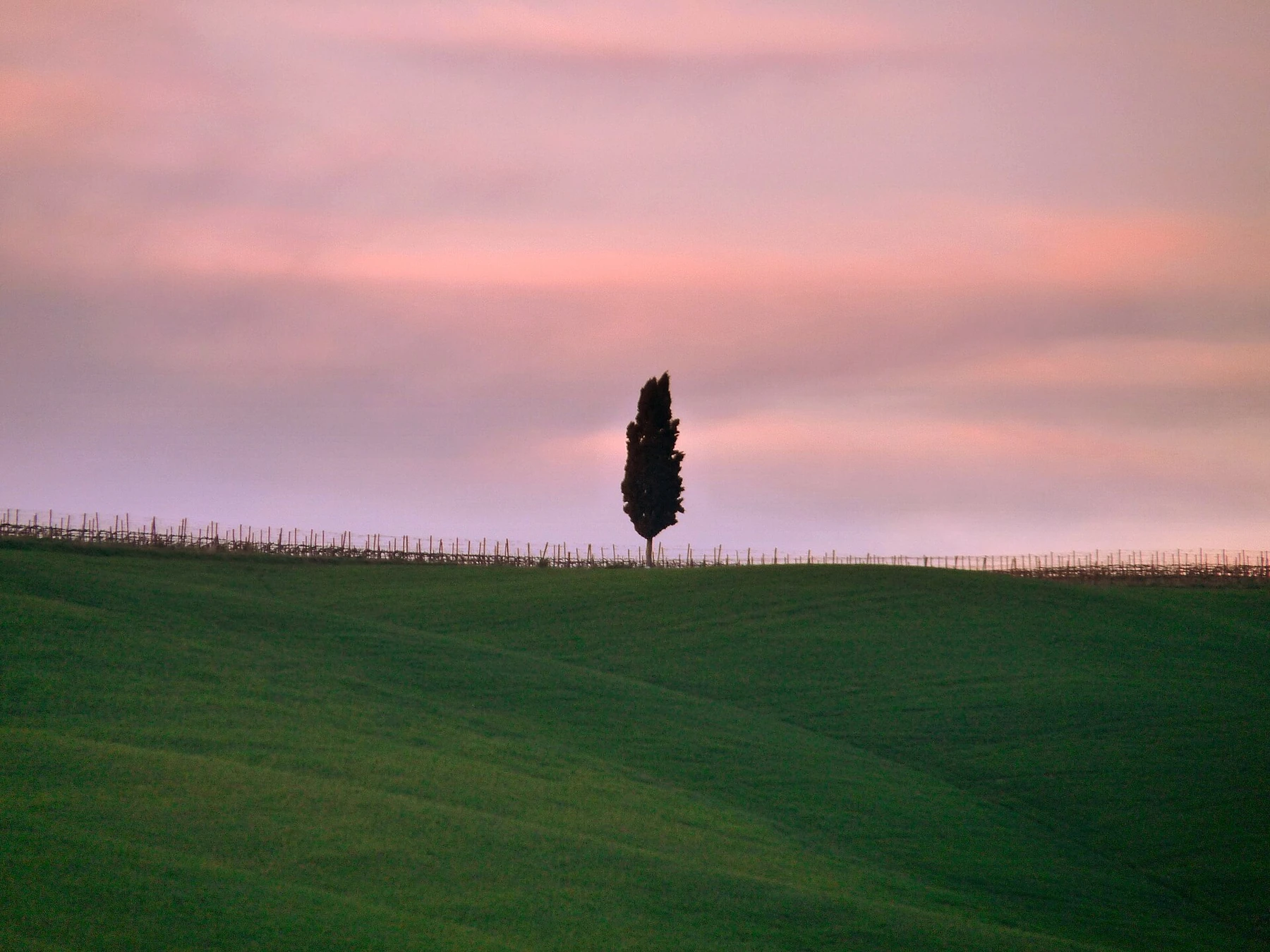 Bakker og marker i Val d’Orcia i Toscana