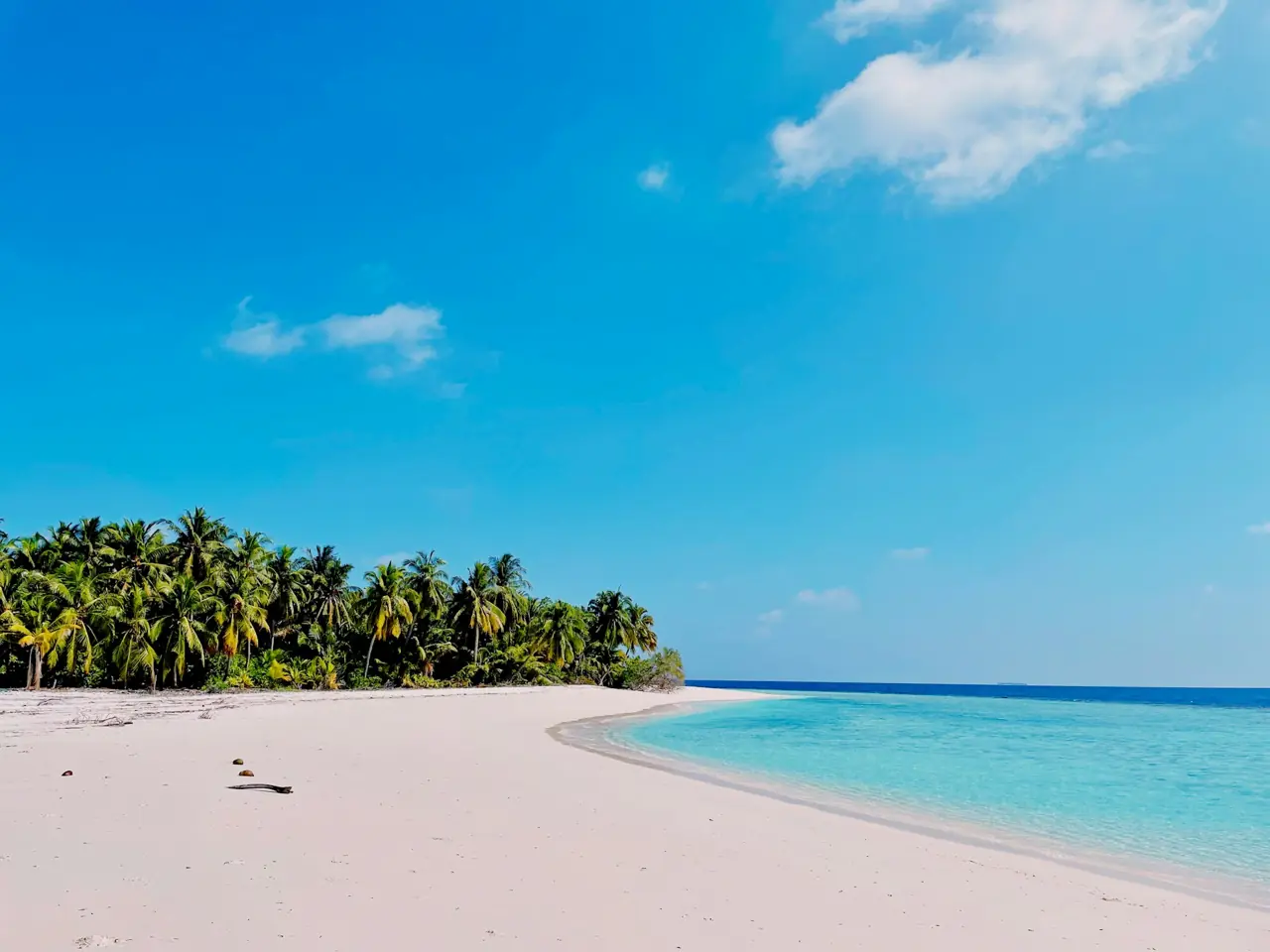 Tropisk strand ved turkis vand på Maldiverne