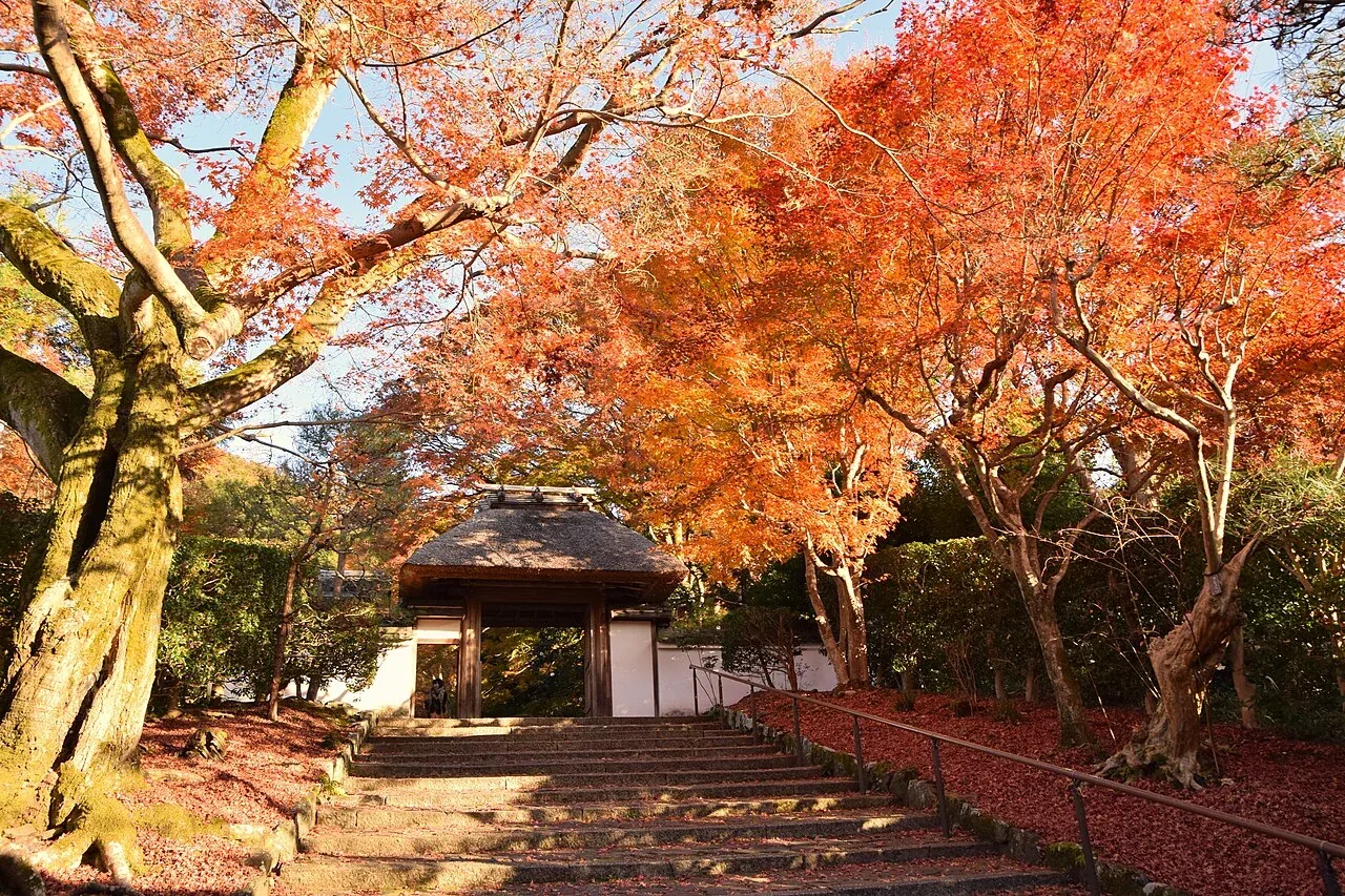 Anrakuji-templets indgang i Kyoto med efterårsfarver